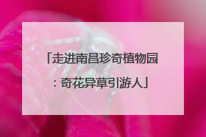 走进南昌珍奇植物园：奇花异草引游人