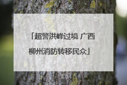 超警洪峰过境 广西柳州消防转移民众
