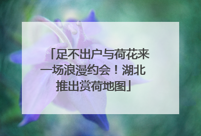 足不出户与荷花来一场浪漫约会！湖北推出赏荷地图
