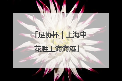 足协杯｜上海申花胜上海海港