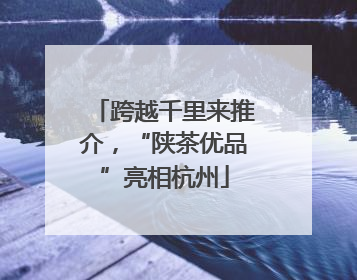 跨越千里来推介，“陕茶优品”亮相杭州