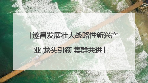遂昌发展壮大战略性新兴产业 龙头引领 集群共进