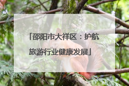 邵阳市大祥区：护航旅游行业健康发展