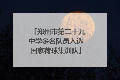 郑州市第二十九中学多名队员入选国家荷球集训队