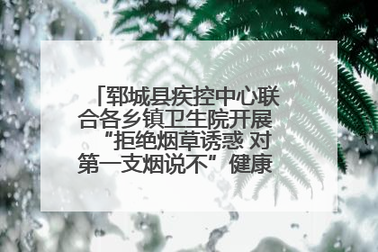 郓城县疾控中心联合各乡镇卫生院开展“拒绝烟草诱惑 对第一支烟说不”健康教育宣传活动