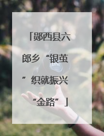 郧西县六郎乡“银茧”织就振兴“金路”