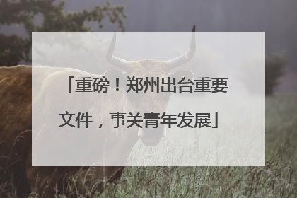 重磅！郑州出台重要文件，事关青年发展