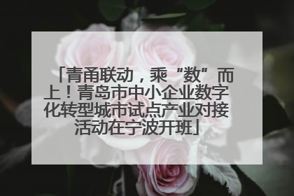 青甬联动，乘“数”而上！青岛市中小企业数字化转型城市试点产业对接活动在宁波开班