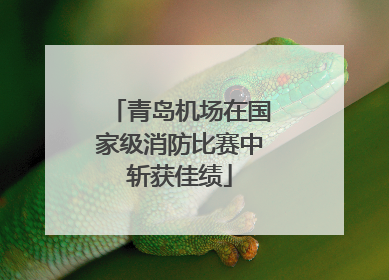 青岛机场在国家级消防比赛中斩获佳绩