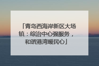 青岛西海岸新区大场镇：综治中心强服务，和谐港湾暖民心