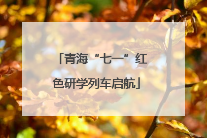 青海“七一”红色研学列车启航