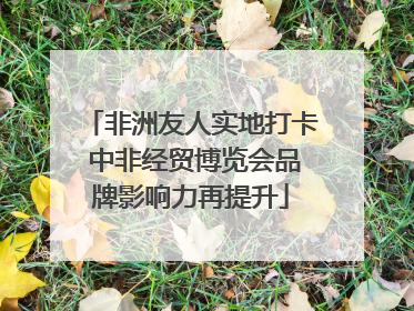 非洲友人实地打卡 中非经贸博览会品牌影响力再提升