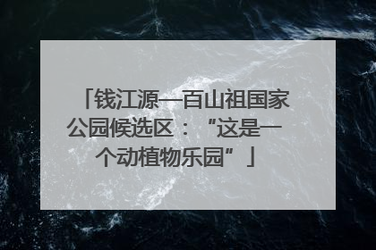 钱江源—百山祖国家公园候选区：“这是一个动植物乐园”