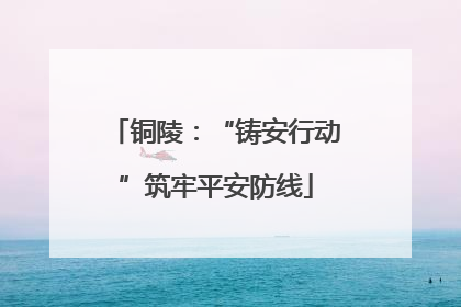 铜陵：“铸安行动”筑牢平安防线