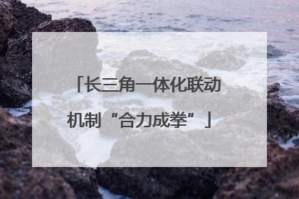 长三角一体化联动机制“合力成拳”