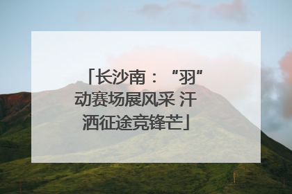 长沙南：“羽”动赛场展风采 汗洒征途竞锋芒
