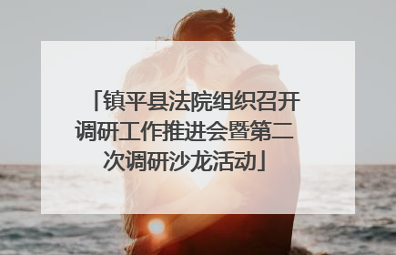 镇平县法院组织召开调研工作推进会暨第二次调研沙龙活动