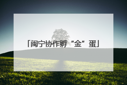 闽宁协作孵“金”蛋