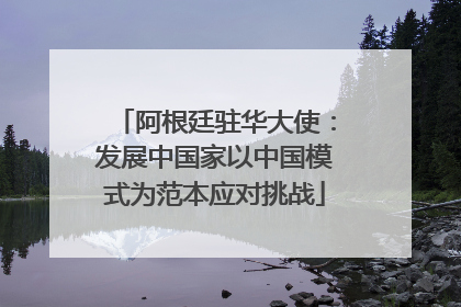 阿根廷驻华大使：发展中国家以中国模式为范本应对挑战