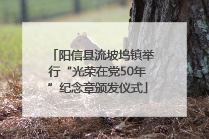 阳信县流坡坞镇举行“光荣在党50年”纪念章颁发仪式