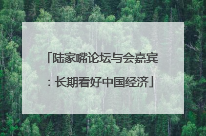 陆家嘴论坛与会嘉宾：长期看好中国经济