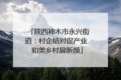 陕西神木市永兴街道：村企结对促产业 和美乡村展新颜