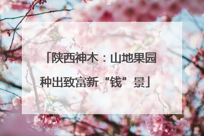 陕西神木：山地果园种出致富新“钱”景