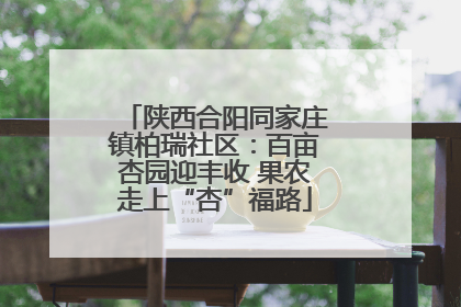 陕西合阳同家庄镇柏瑞社区：百亩杏园迎丰收 果农走上“杏”福路