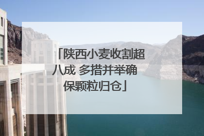 陕西小麦收割超八成 多措并举确保颗粒归仓