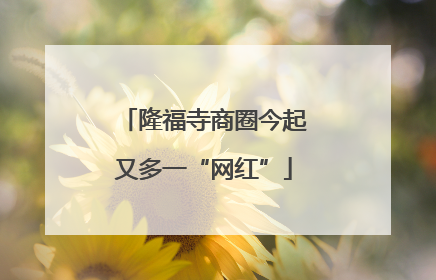 隆福寺商圈今起又多一“网红”