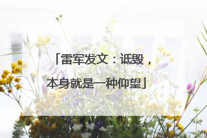 雷军发文：诋毁，本身就是一种仰望