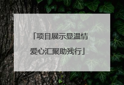 项目展示显温情 爱心汇聚助残行