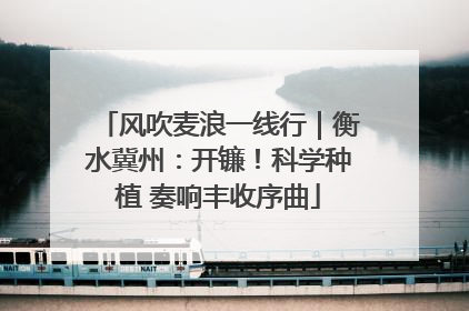 风吹麦浪一线行｜衡水冀州：开镰！科学种植 奏响丰收序曲