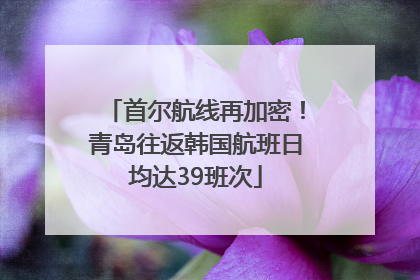 首尔航线再加密！青岛往返韩国航班日均达39班次