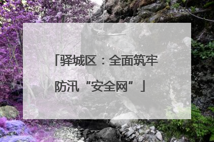 驿城区：全面筑牢防汛“安全网”