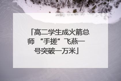 高二学生成火箭总师 “手搓”飞燕一号突破一万米