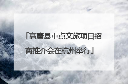 高唐县重点文旅项目招商推介会在杭州举行