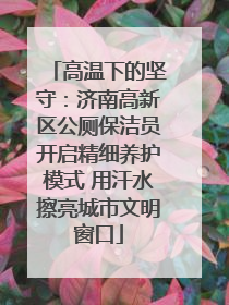 高温下的坚守：济南高新区公厕保洁员开启精细养护模式 用汗水擦亮城市文明窗口
