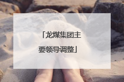 龙煤集团主要领导调整