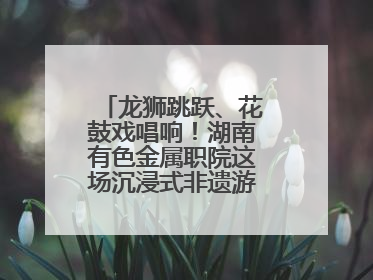 龙狮跳跃、花鼓戏唱响！湖南有色金属职院这场沉浸式非遗游园活动很带感