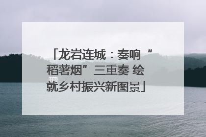 龙岩连城：奏响“稻薯烟”三重奏 绘就乡村振兴新图景