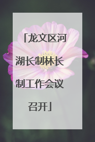 龙文区河湖长制林长制工作会议召开