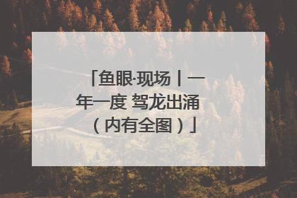 鱼眼·现场丨一年一度 驾龙出涌（内有全图）
