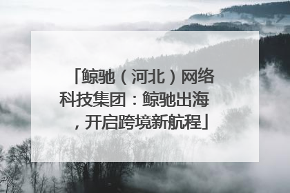 鲸驰（河北）网络科技集团：鲸驰出海，开启跨境新航程