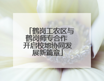 鹤岗工农区与鹤岗师专合作 开启校地协同发展新篇章
