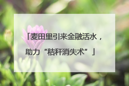 麦田里引来金融活水，助力“秸秆消失术”