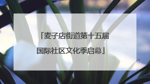 麦子店街道第十五届国际社区文化季启幕
