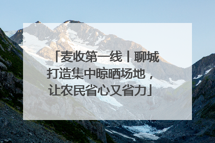 麦收第一线丨聊城打造集中晾晒场地，让农民省心又省力