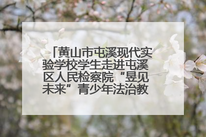 黄山市屯溪现代实验学校学生走进屯溪区人民检察院“昱见未来”青少年法治教育宣传基地
