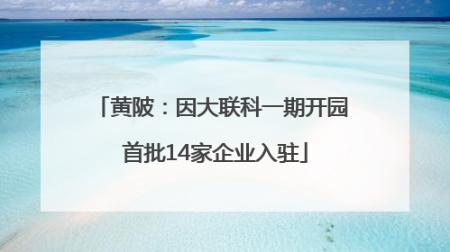 黄陂：因大联科一期开园 首批14家企业入驻